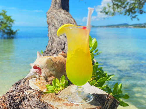 Roatan  Honduras parrot tree Excursion Prices