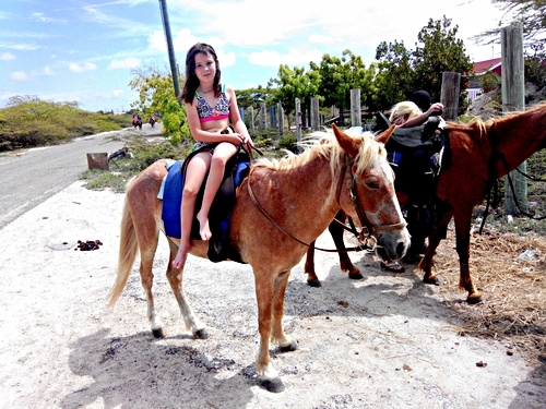 Turks and Caicos swim with horse Excursion Prices
