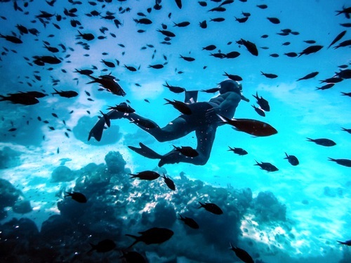 Curacao Willemstad  Tour Tickets