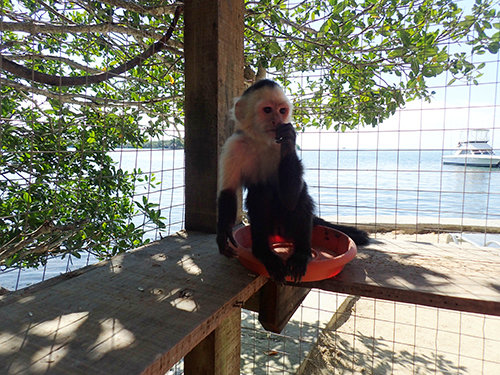 Roatan beach Trip Reservations