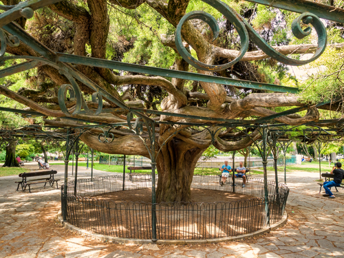Lisbon Vasco da Gama Sightseeing Excursion Reservations