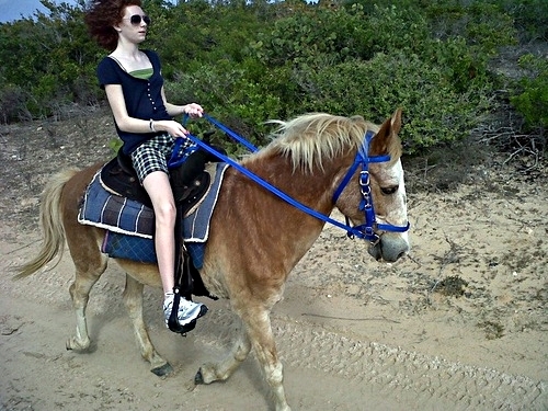 Grand Turk horseback riding Shore Excursion Tickets