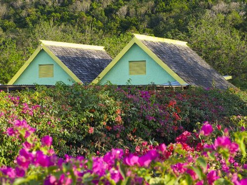 Ocho Rios  Jamaica swim with horses Prices