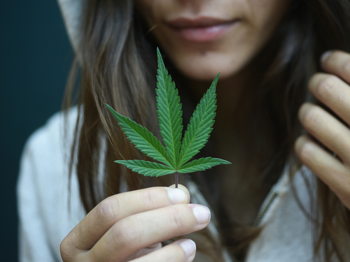 Los Angeles Grow facilities Cannabis Trip Reservations
