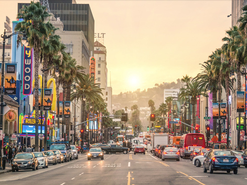 Los Angeles High-End Dispensary Cannabis Cruise Excursion Reviews