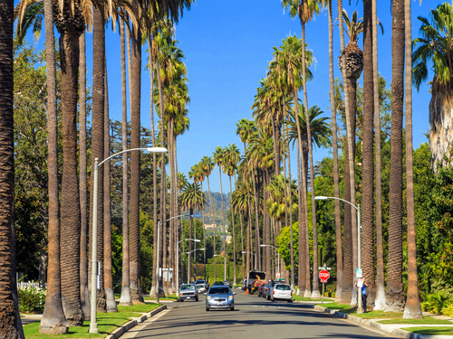 Los Angeles  California / USA Fox Studios Excursion Booking