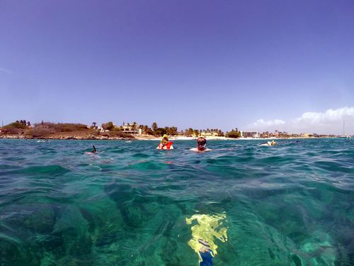 Aruba catamaran sail and snorkel Cruise Excursion Tickets