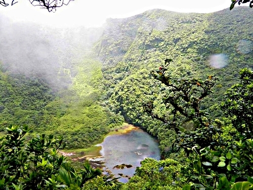 St. Kitts rainforest Trip Reservations