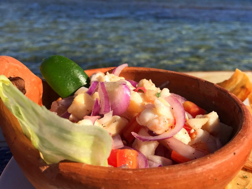Roatan private island day pass Excursion Cost