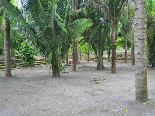 Mahahual Chacchoben Mayan Ruins Tour Booking