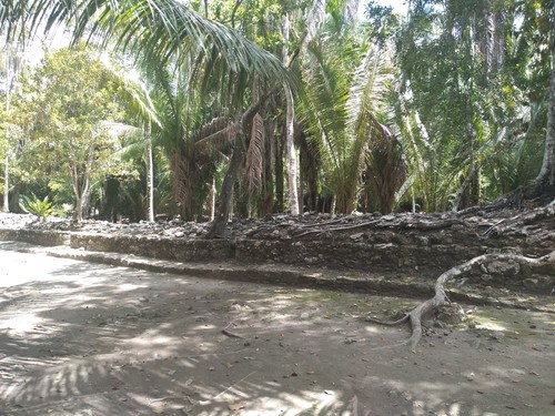 Mahahual Mayan Ruins Cruise Excursion Booking