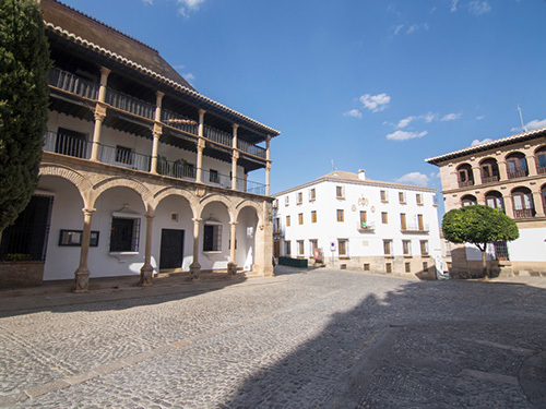 Malaga Spain Town Hall Cruise Excursion Reservations