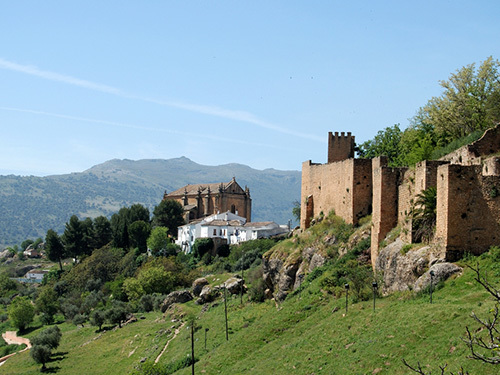 Malaga Spain Andalusia Sightseeing Tour Booking