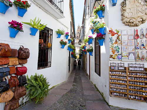 Malaga Synagogue Sightseeing Tour Prices