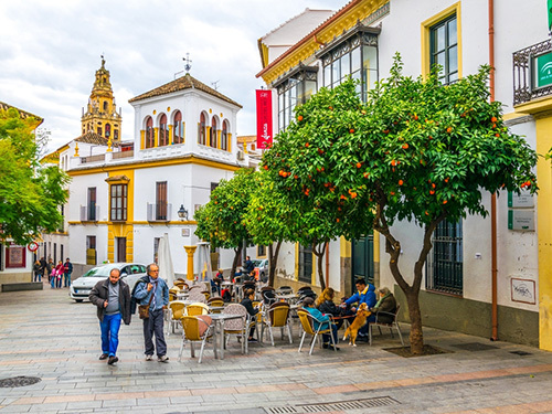 Malaga Cordoba Sightseeing Tour Prices