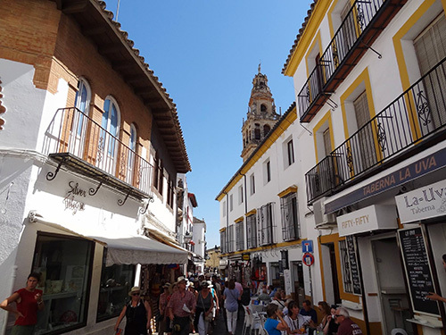 Malaga Spain Great Mosque Walking Shore Excursion Reservations