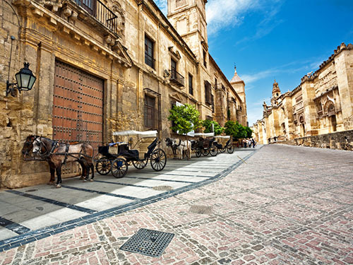 Malaga Spain Jewish Quarter Walking Shore Excursion Cost