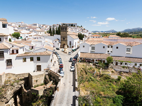 Malaga Wine Museum Shore Excursion Reviews
