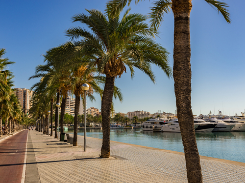 Mallorca (Palma) Spain Palace Cruise Excursion Reviews