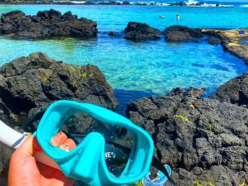Hilo  Hawaii beach snorkel Shore Excursion Booking
