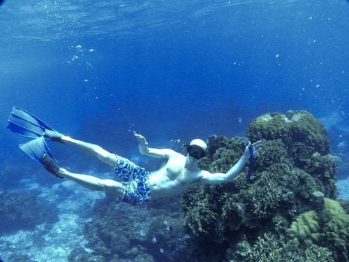 Costa Maya snorkeling Shore Excursion Tickets