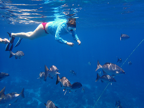 Roatan beach Shore Excursion Cost