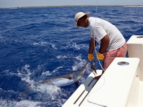 Grand Cayman whole day charter Tour