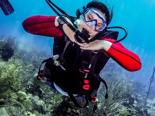 Roatan mr bud Diving Cruise Excursion Booking