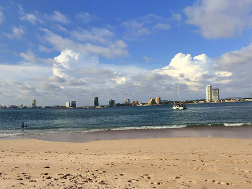 Mazatlan wolf island Cruise Excursion Prices