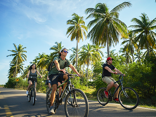 Mazatlan Hummingbirds Bike Trip Booking
