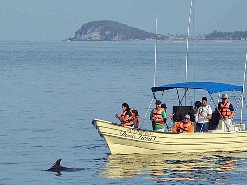 Mazatlan Mexico snorkel with dolphin Tour Tickets
