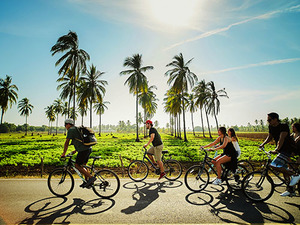 Mazatlan Tropical Bike Adventure Excursion