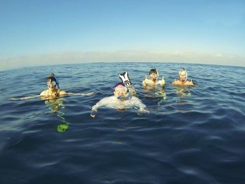 Mazatlan snorkel with dolphin Cruise Excursion Cost
