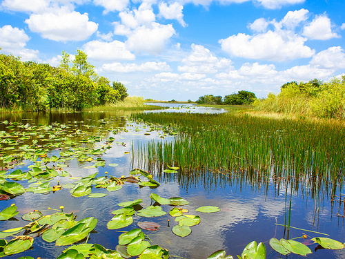 Miami  US bay boat Tour Tickets
