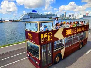 Miami Big Bus City Sightseeing Hop On Hop Off Excursion