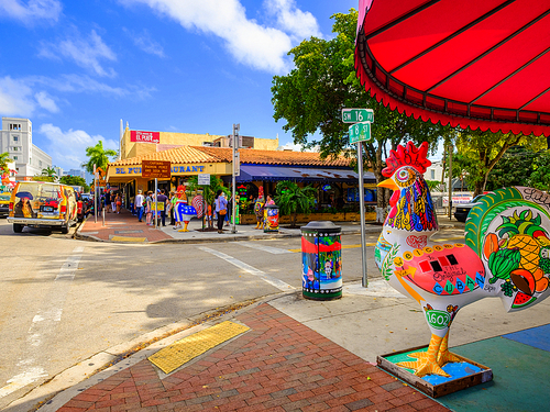Miami  US coco walk Tour Tickets