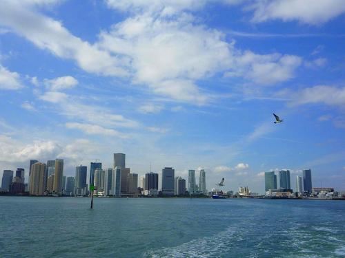 Miami  US everglades Trip Reviews