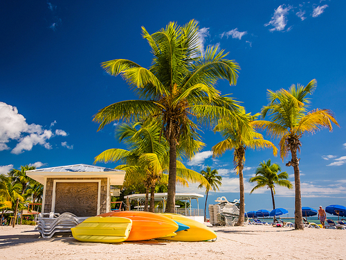 Miami  US key west self guided Excursion Reviews