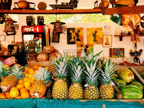 Miami  US cuban food Cruise Excursion Cost