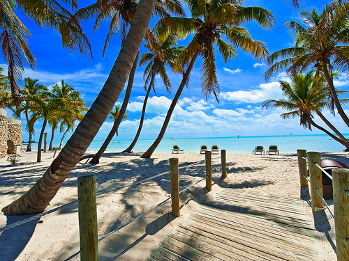 Miami key west on your own Excursion Reviews