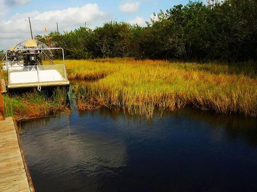 Miami wetlands Trip Reservations