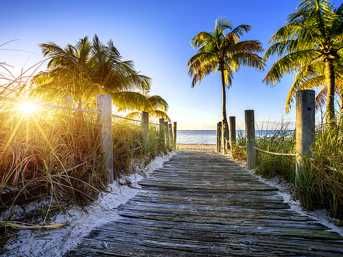Miami key west on your own Trip Cost
