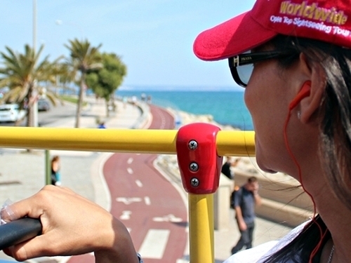 Miami  US wynwood walls Cruise Excursion Tickets