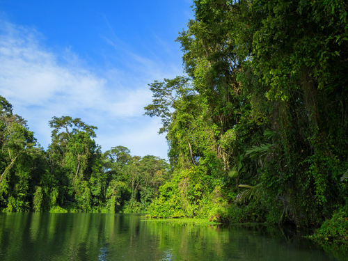 Puerto Limon Tortuguero Channel Trip Reviews