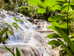 Montego Bay Dunn's River Falls, Shopping, and Ocho Rios Sightseeing Excursion with Lunch