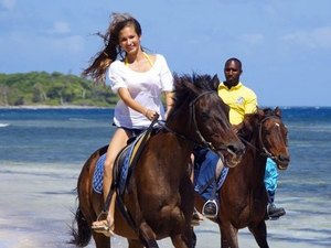 Montego Bay Horseback Riding and Ocean Swim Excursion
