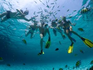 Mr. Sanchos Beach Club 2 Reef Marine Park Snorkel Excursion from Playa del Carmen
