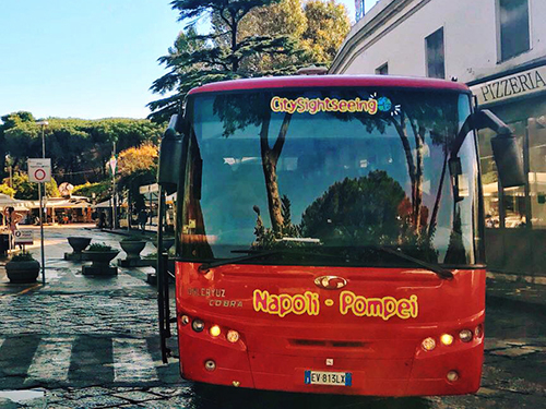 Naples Volcano Sightseeing Trip Prices