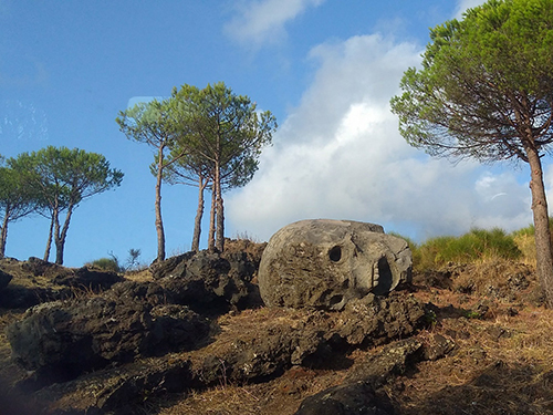 Naples Mount Vesuvius Cruise Excursion Prices