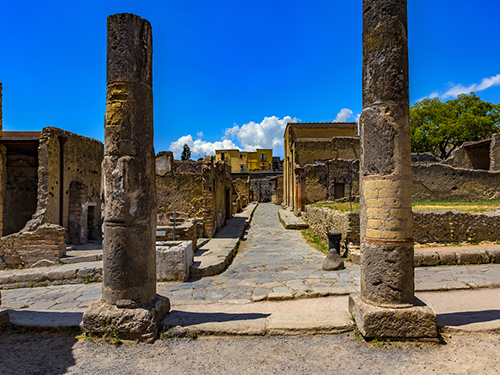 Naples Herculaneum Shuttle Tour Prices
